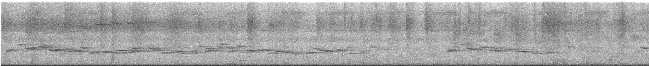 Kabarık Gerdanlı Ardıçesmeri - ML615979531