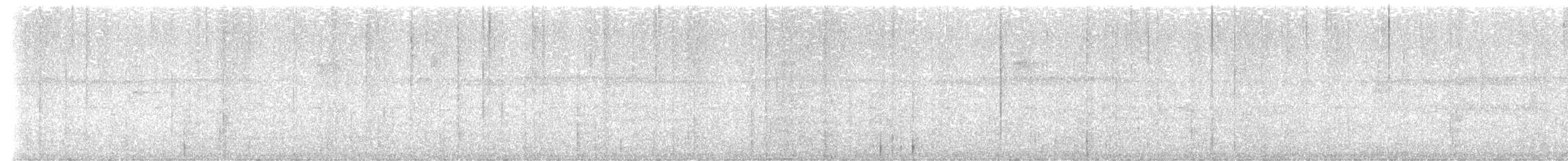 holub krátkozobý - ML615979565