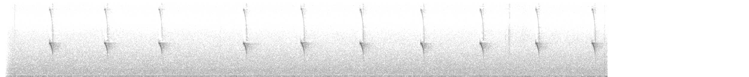 kolibřík skvostný - ML615981411