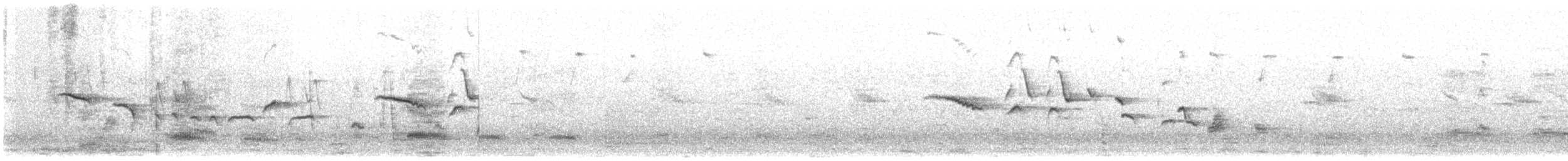 Oriental Magpie-Robin (Oriental) - ML615981776