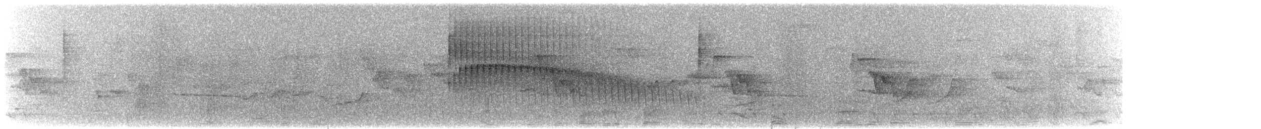 gråhodetreløper (griseus gr.) - ML615981797