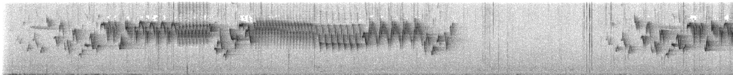 Troglodyte de Baird - ML615981980