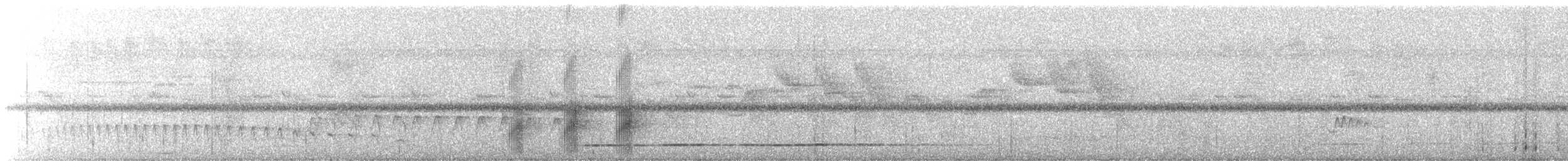 Black-tailed Tityra - ML615985611