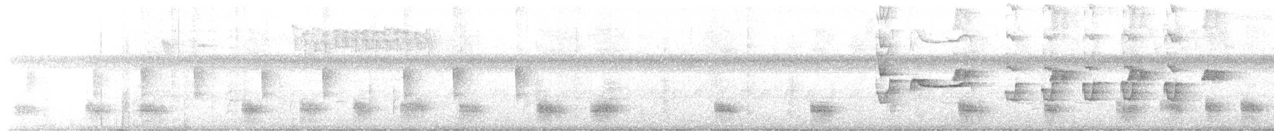 White-mantled Barbet - ML615986109
