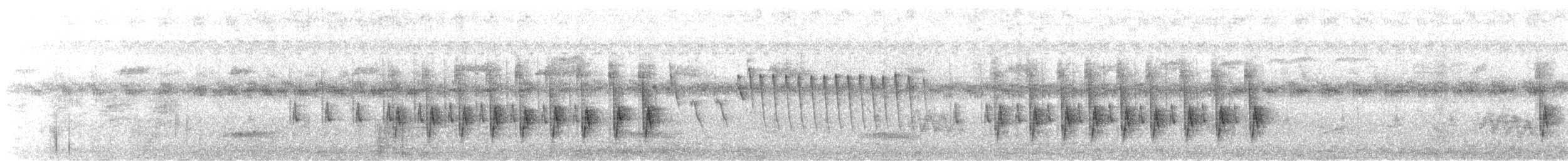 Camaroptère à tête grise (groupe brachyura) - ML615989643