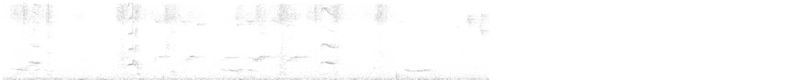 パナマヒタキモドキ - ML615990798