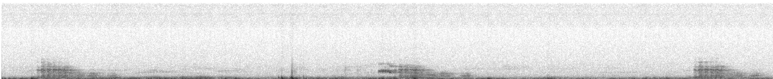 קורמורן גדול (אירואסייתי) - ML615992442
