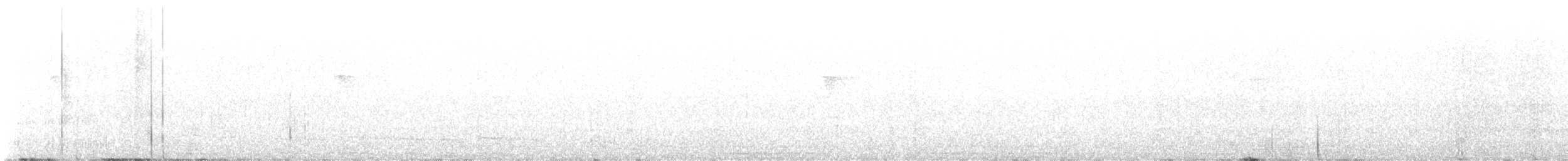 Küstenkordilleren-Ameisenfänger - ML615993690