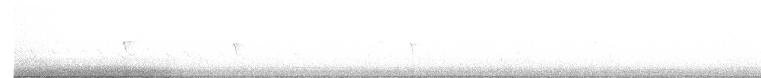 クロツキヒメハエトリ - ML615996896
