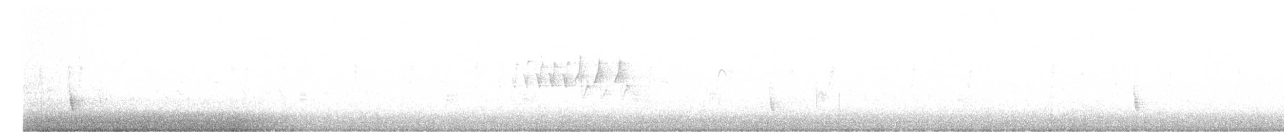 Дрізд-короткодзьоб плямистоволий - ML615997006