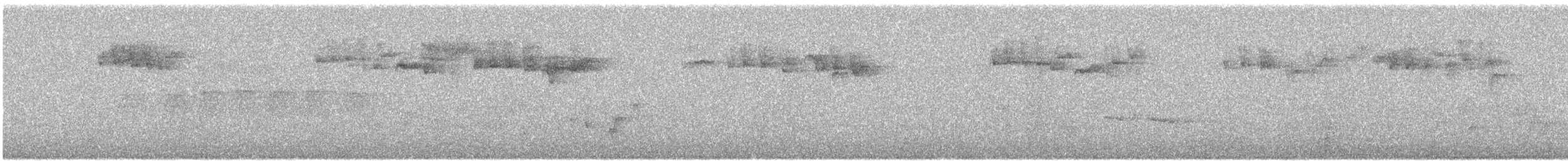 キクイタダキ（teneriffae） - ML615997808