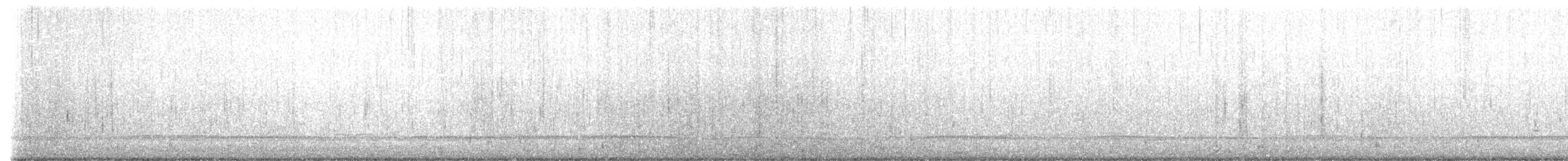 Black Scoter - ML616000012