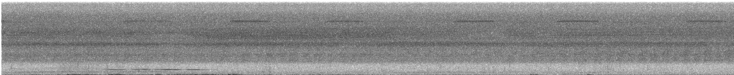 Strichelbrust-Ameisenpitta - ML616000584
