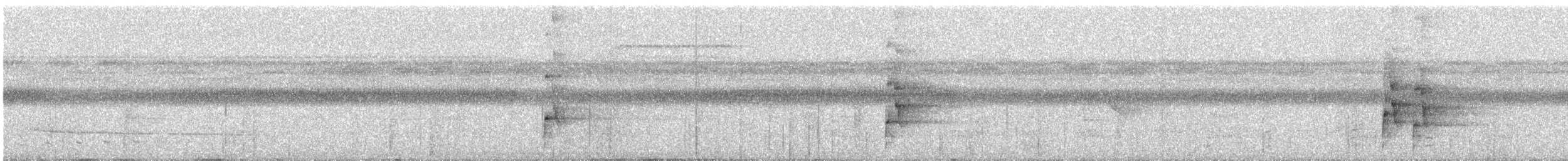 Bindenarassari - ML616001023