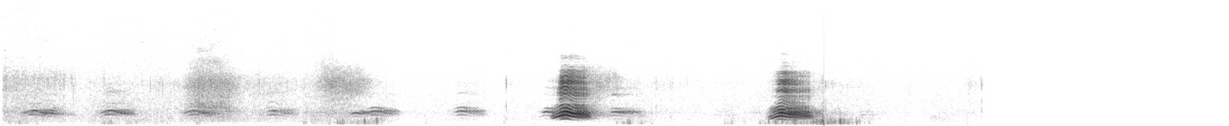 Cuervo Picudo (grupo macrorhynchos) - ML616001209