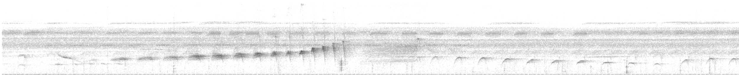Weißflanken-Ameisenschlüpfer - ML616002011