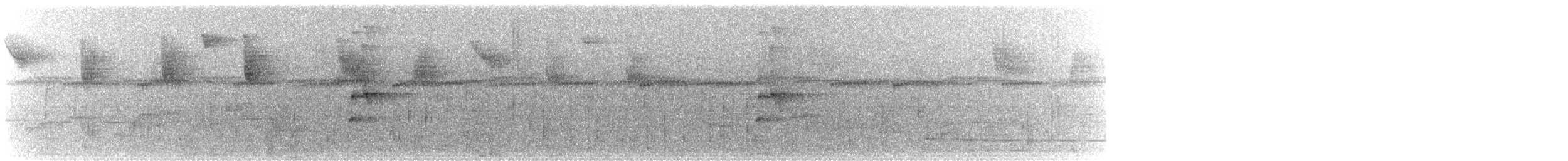 Аракарі плямистоволий [група torquatus] - ML616004958