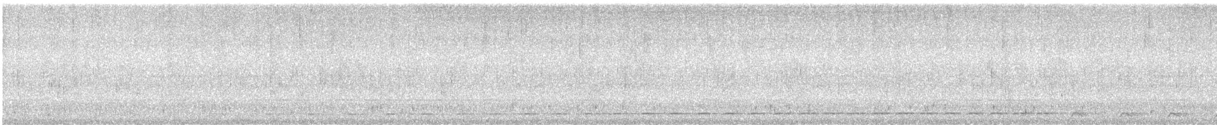 Short-tailed Antthrush - ML616005429