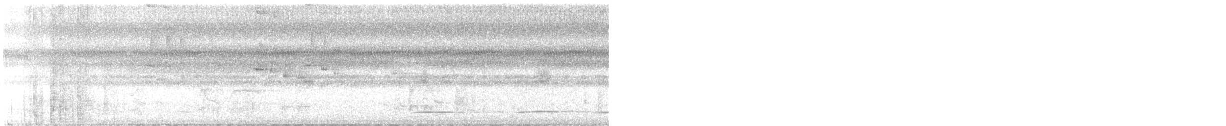 Волнистый скрытохвост - ML616006502