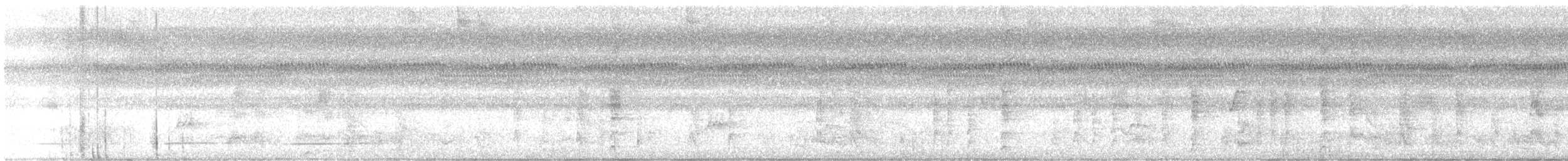 svartpanneparakitt - ML616006515