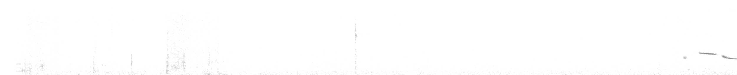 Chihuahuan Meadowlark - ML616007205