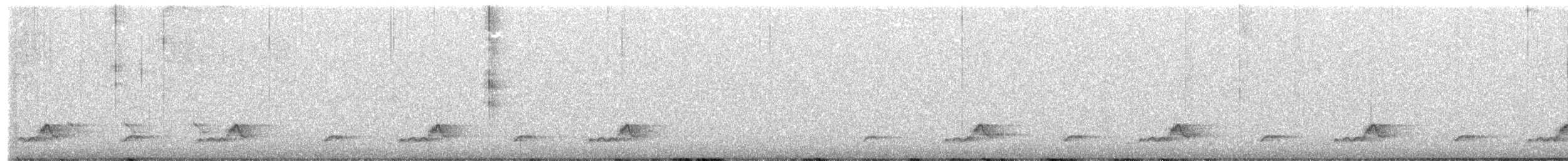Schwarzkehl-Nachtschwalbe - ML616008913