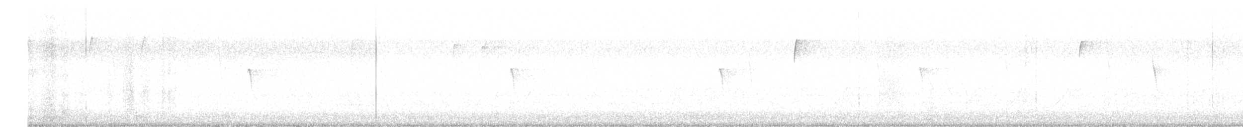 Светлобрюхий фиби - ML616010788