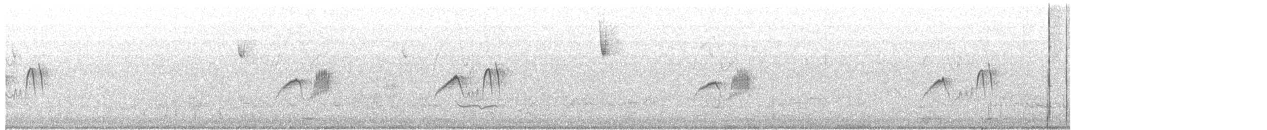 Светлобрюхий фиби - ML616012585