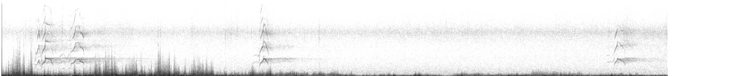 Huîtrier variable - ML616013203