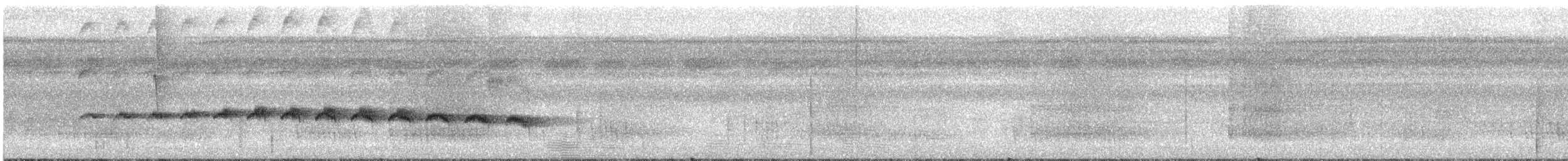 Schmalbrauen-Ameisenschnäpper - ML616013912