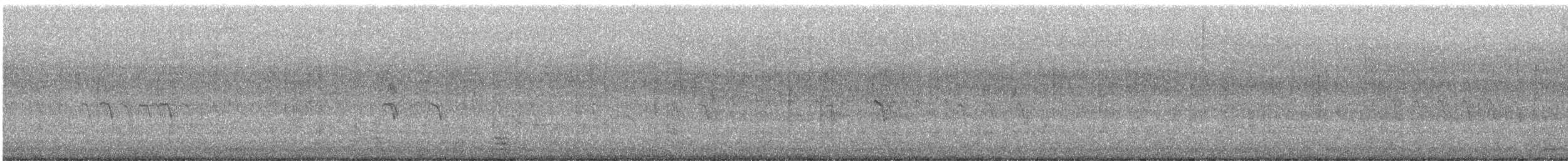 morčák chocholatý - ML616014025