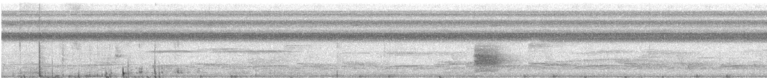 Kara Kuyruklu Karıncakuşu - ML616015034