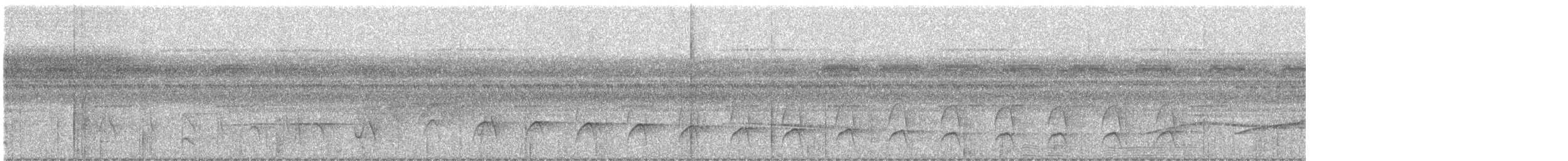 Weißflanken-Ameisenschlüpfer - ML616015654