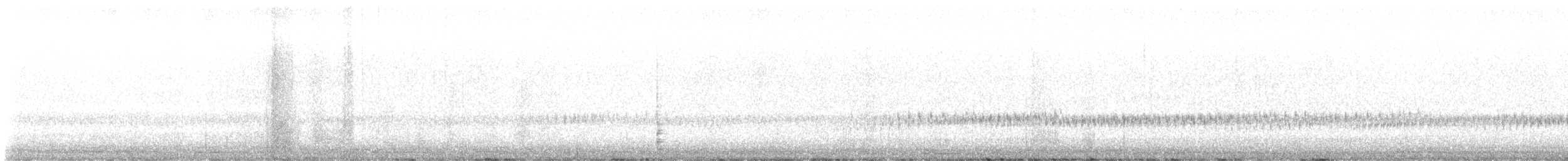 Сипуха крапчаста - ML616015723