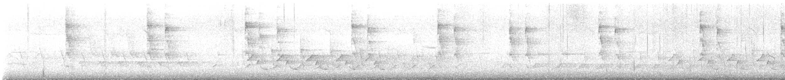 střízlík kanadský - ML616017353