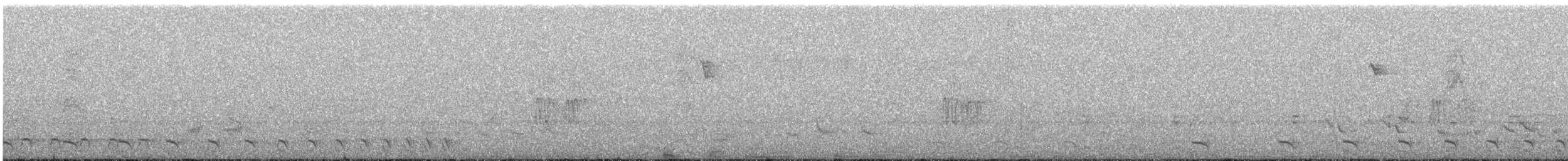 Сорокуш плямистий (підвид punctatus/interpositus) - ML616017856