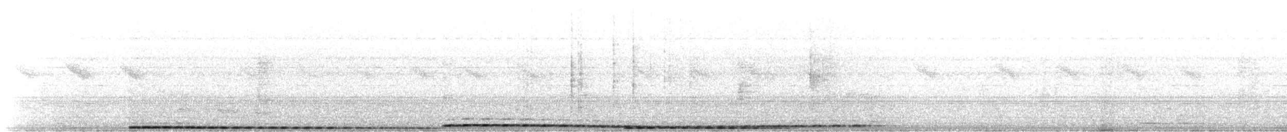 Weißbrauenkuckuck (superciliosus/loandae) - ML616021850