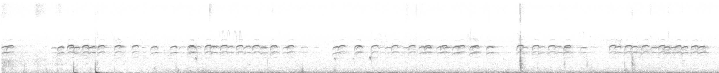 křivka bělokřídlá - ML616022518