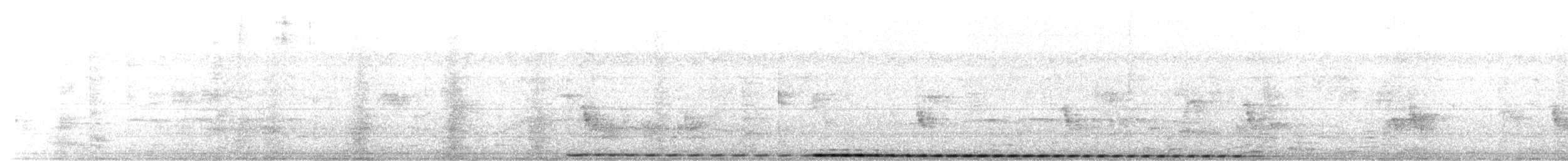 Cucal Cejiblanco (superciliosus/loandae) - ML616022945