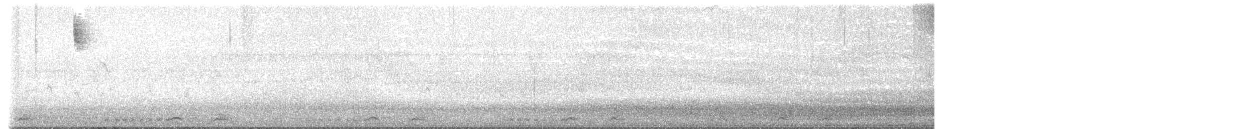 白腹秧雞 - ML616023623