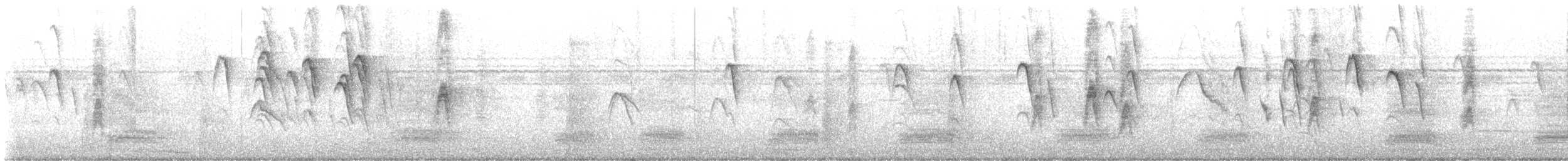 myšák hnědokřídlý - ML616023650