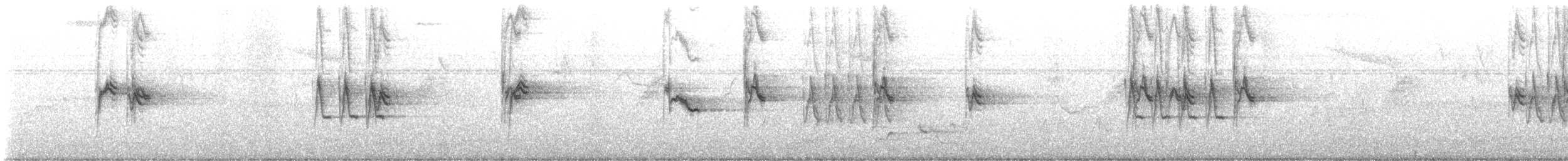 konipas africký - ML616024121