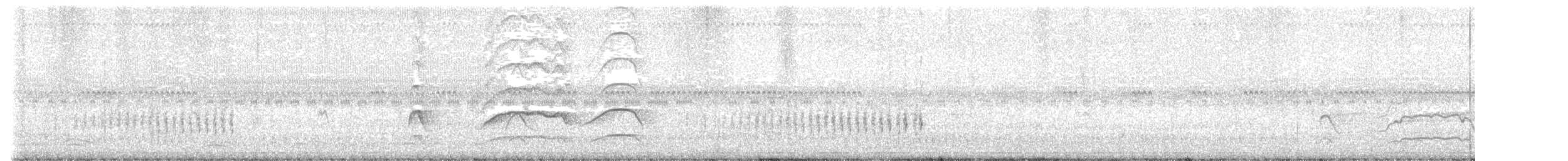 小秧雞 - ML616025199