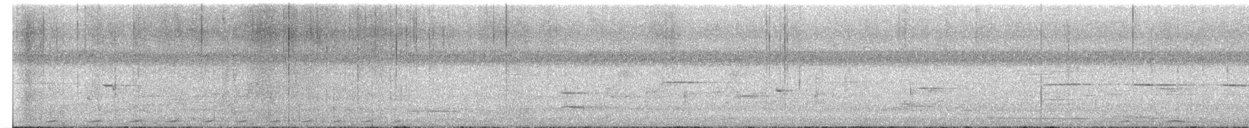småbrundue (nigrorum) - ML616025444