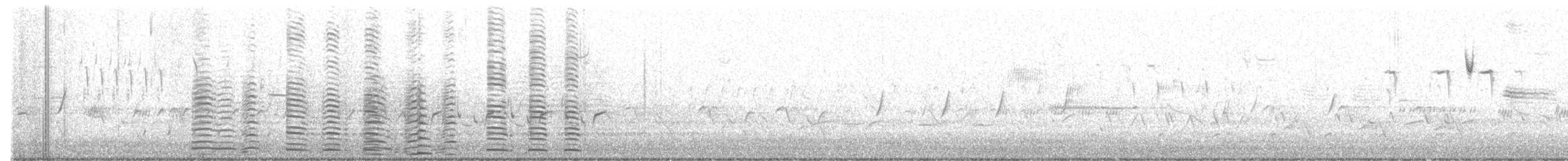 Cisne Trompetero - ML616026805
