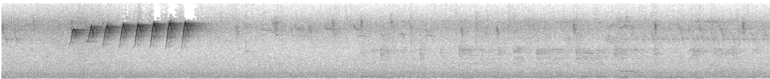 Turuncu Karınlı Öksekuşu - ML616028117