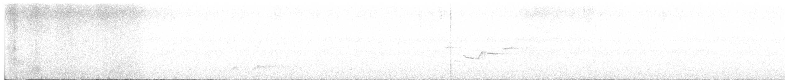 gråhodefulvetta - ML616029722