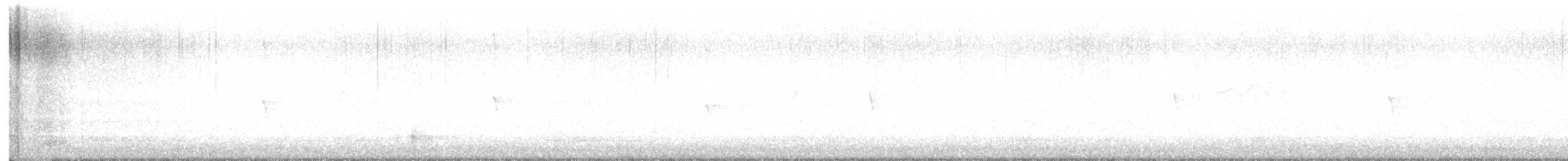 Светлобрюхий фиби - ML616029762