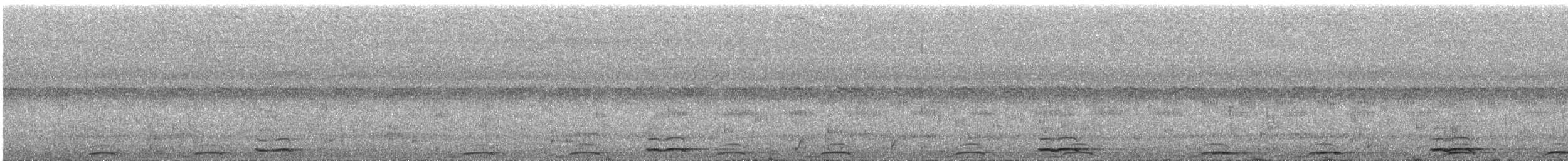 蘭嶼角鴞 - ML616029959