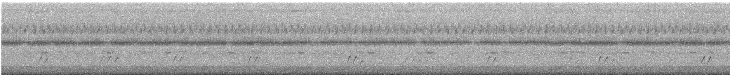 bartramie dlouhoocasá - ML616030463